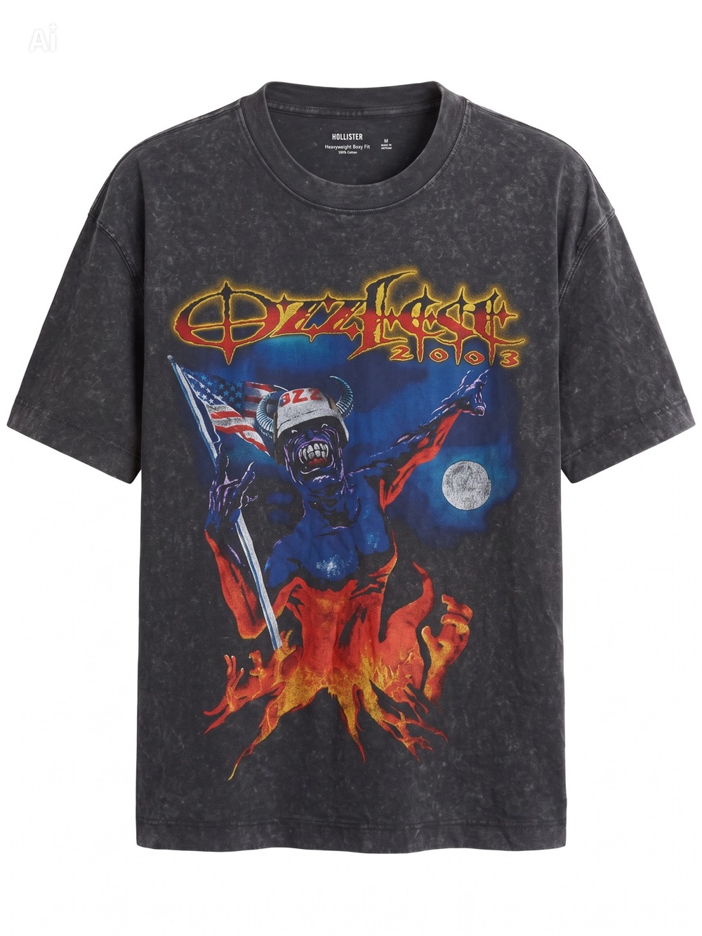 Hollister Ozzfest 2003 Graphic Tee Heavyweight Boxy Fit